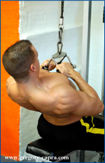 Musculation